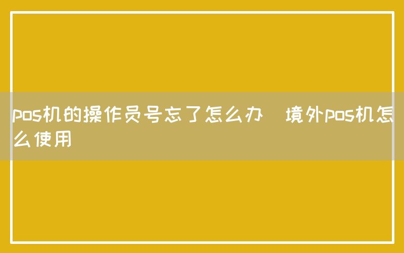 pos机的操作员号忘了怎么办(境外pos机怎么使用)