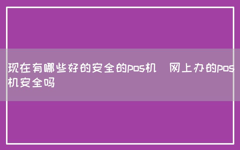 现在有哪些好的安全的pos机(网上办的pos机安全吗)