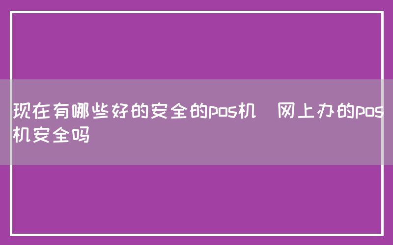 现在有哪些好的安全的pos机(网上办的pos机安全吗)