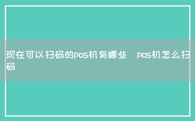 现在可以扫码的pos机有哪些(pos机怎么扫码)