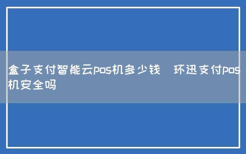 盒子支付智能云pos机多少钱(环迅支付pos机安全吗)