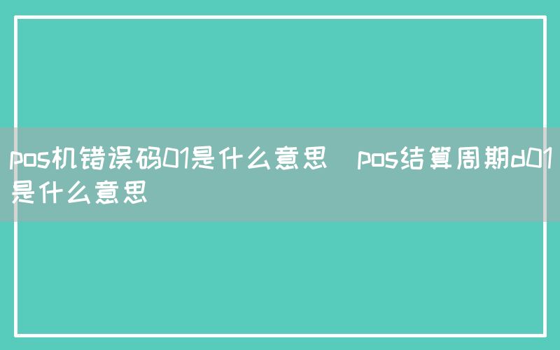 pos机错误码01是什么意思(pos结算周期d01是什么意思)(图1)