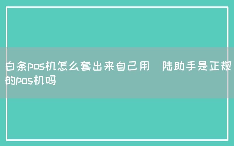 白条pos机怎么套出来自己用(陆助手是正规的pos机吗)