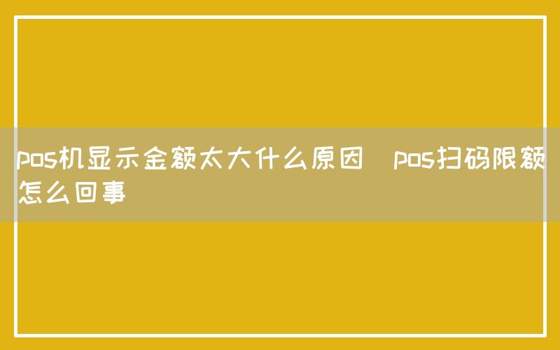 pos机显示金额太大什么原因(pos扫码限额怎么回事)