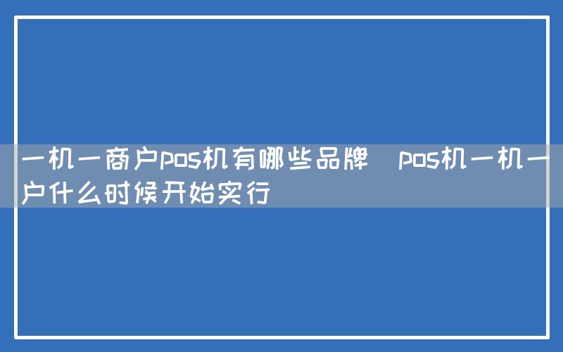 一机一商户pos机有哪些品牌(pos机一机一户什么时候开始实行)(图1)