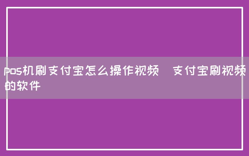 pos机刷支付宝怎么操作视频(支付宝刷视频的软件)