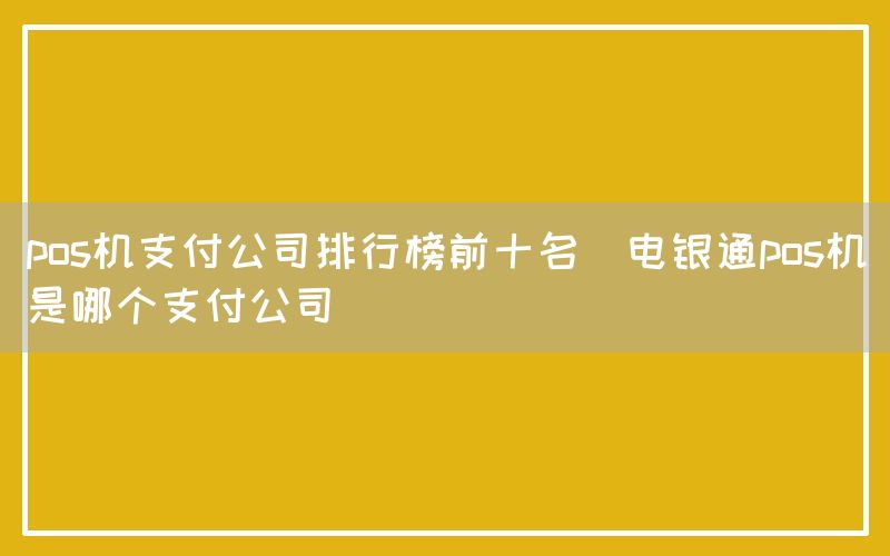 pos机支付公司排行榜前十名(电银通pos机是哪个支付公司)