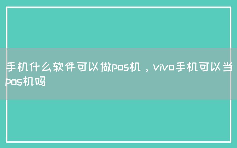 手机什么软件可以做pos机，vivo手机可以当pos机吗