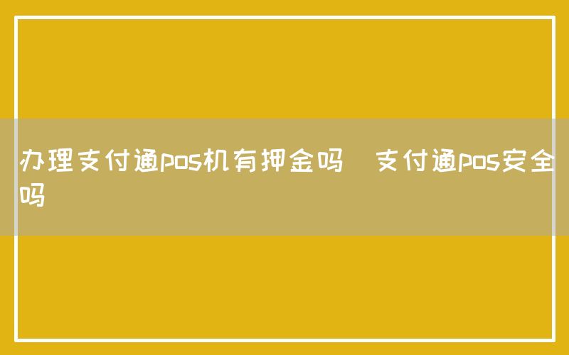 办理支付通pos机有押金吗(支付通pos安全吗)