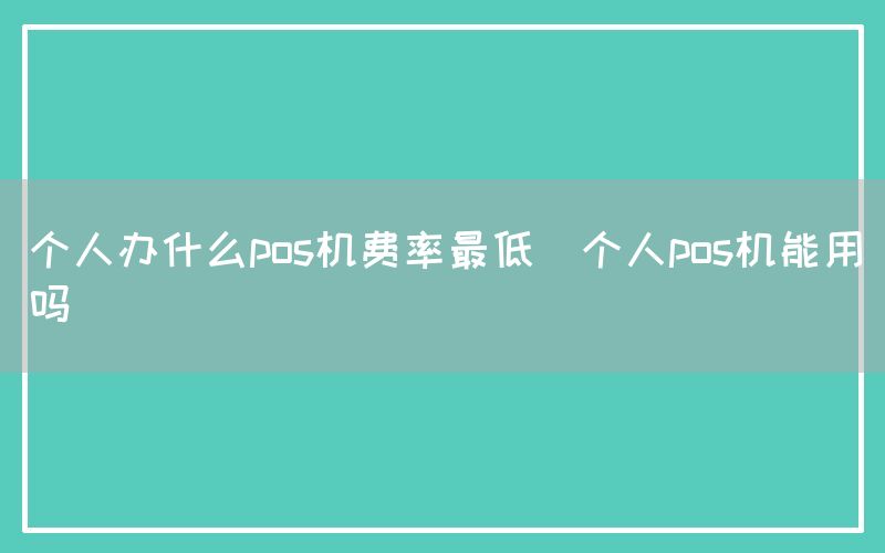 个人办什么pos机费率最低(个人pos机能用吗)