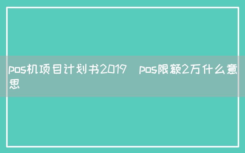 pos机项目计划书2019(pos限额2万什么意思)