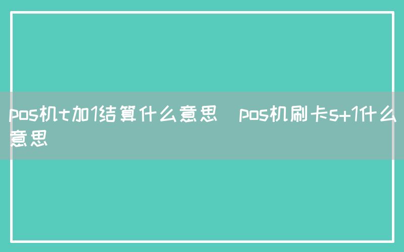 pos机t加1结算什么意思(pos机刷卡s+1什么意思)