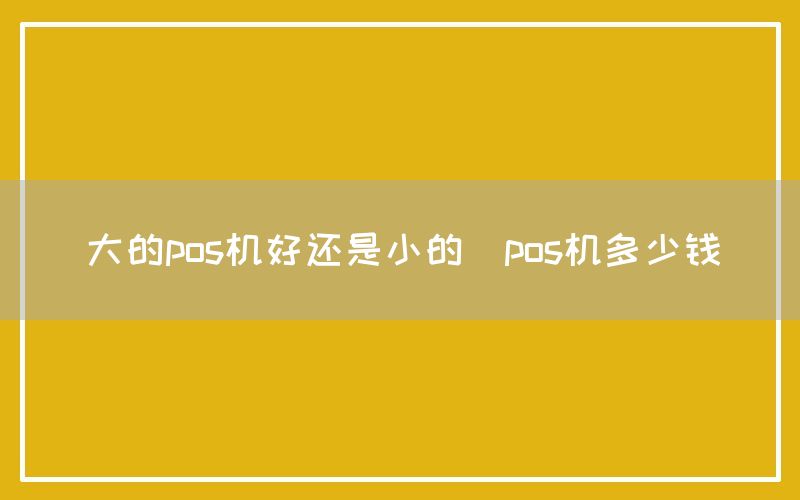 大的pos机好还是小的(pos机多少钱)