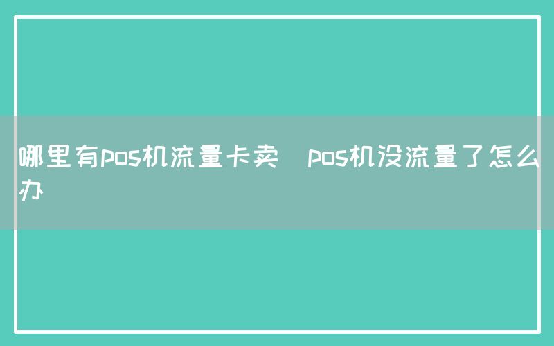 哪里有pos机流量卡卖(pos机没流量了怎么办)