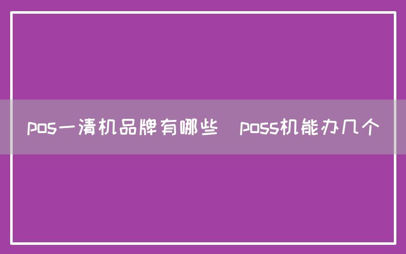 pos一清机品牌有哪些(poss机能办几个)