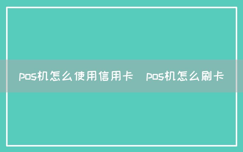 pos机怎么使用信用卡(pos机怎么刷卡)(图1)