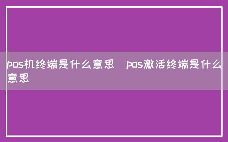 pos机终端是什么意思(pos激活终端是什么意思)