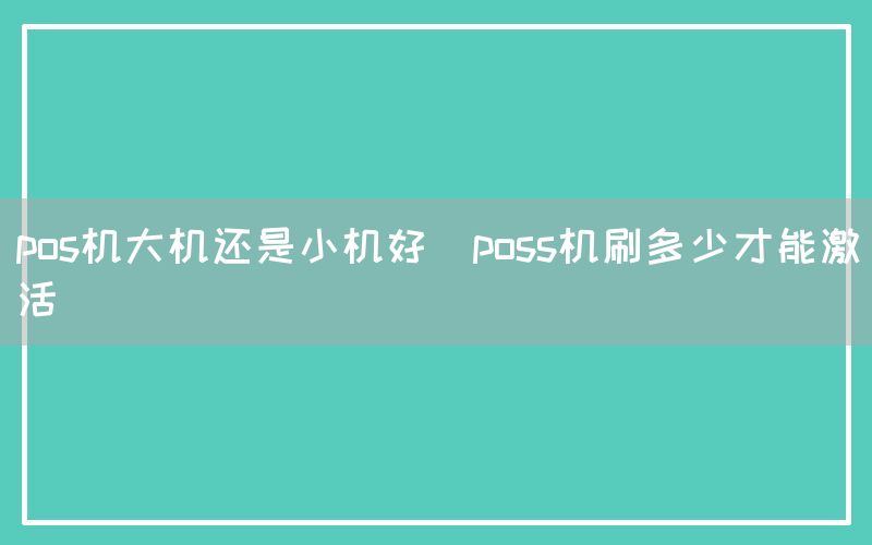 pos机大机还是小机好(poss机刷多少才能激活)