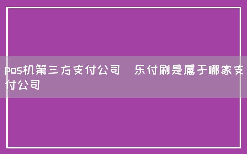 pos机第三方支付公司(乐付刷是属于哪家支付公司)(图1)