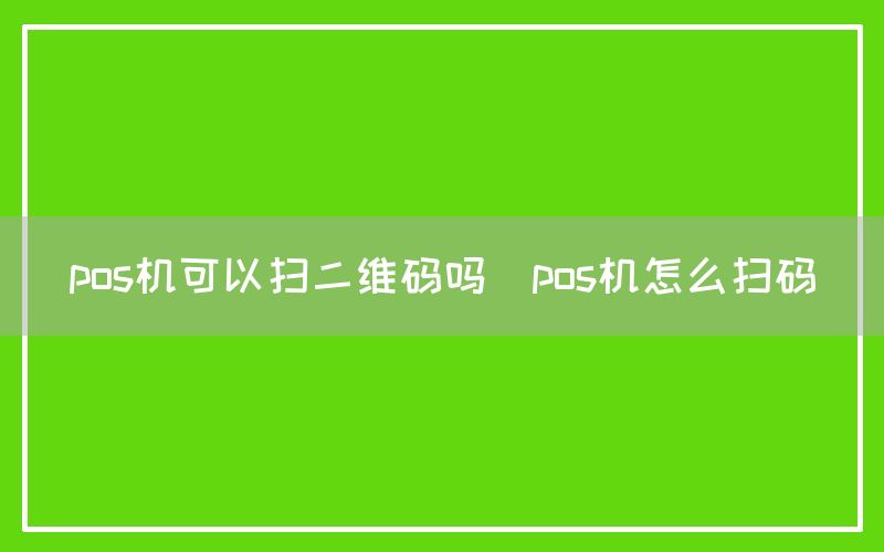 pos机可以扫二维码吗(pos机怎么扫码)(图1)