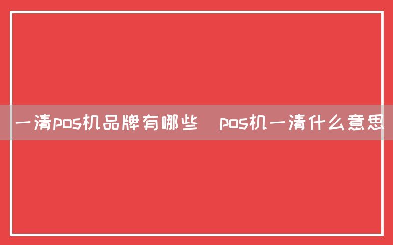 一清pos机品牌有哪些(pos机一清什么意思)