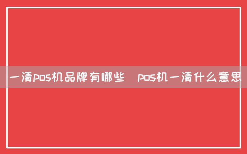 一清pos机品牌有哪些(pos机一清什么意思)(图1)