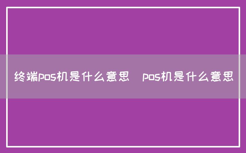 终端pos机是什么意思(pos机是什么意思)