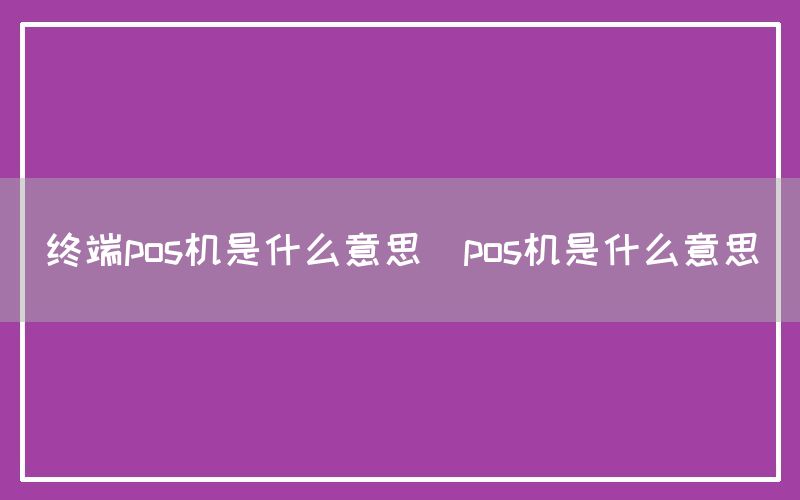 终端pos机是什么意思(pos机是什么意思)