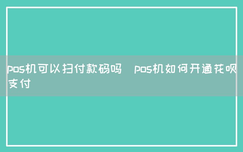 pos机可以扫付款码吗(pos机如何开通花呗支付)