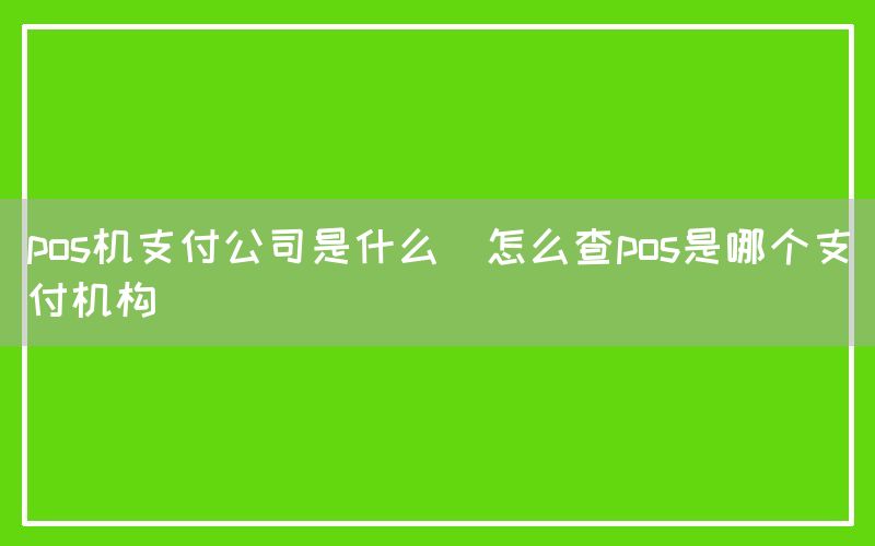 pos机支付公司是什么(怎么查pos是哪个支付机构)