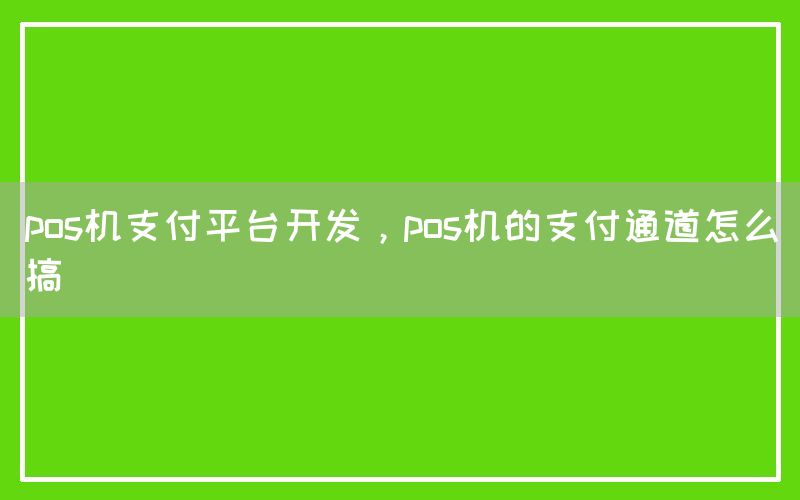 pos机支付平台开发，pos机的支付通道怎么搞