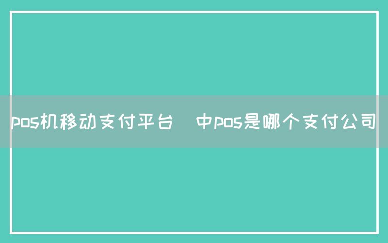 pos机移动支付平台(中pos是哪个支付公司)