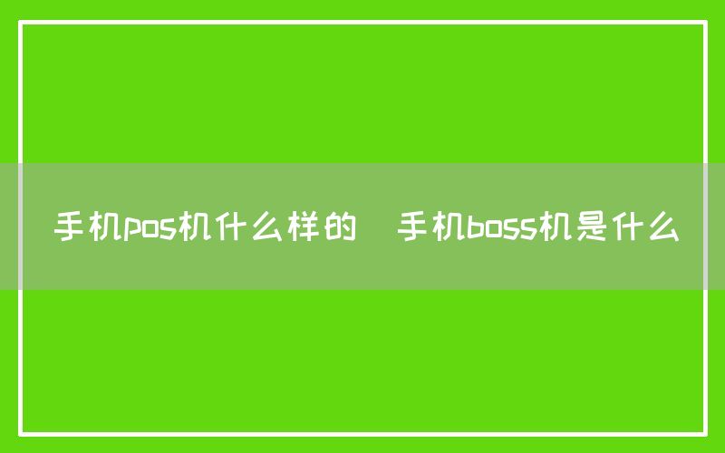 手机pos机什么样的(手机boss机是什么)