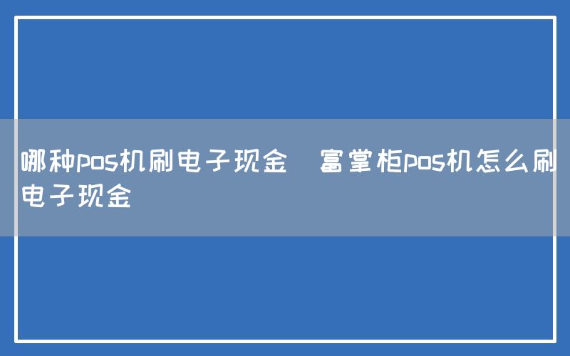 哪种pos机刷电子现金(富掌柜pos机怎么刷电子现金)