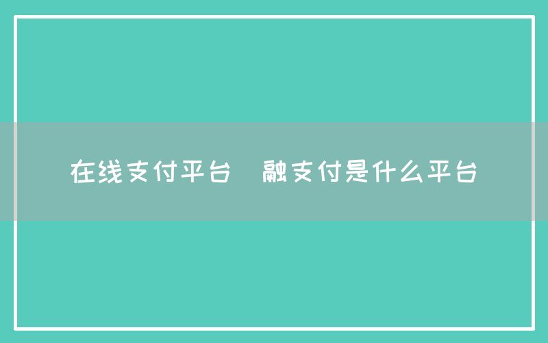 在线支付平台(融支付是什么平台)
