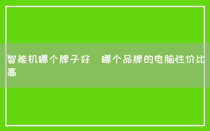 智能机哪个牌子好(哪个品牌的电脑性价比高)