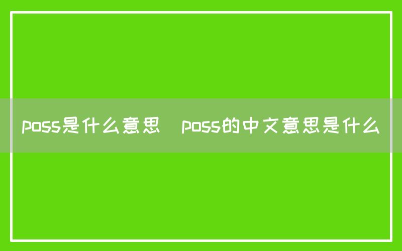poss是什么意思(poss的中文意思是什么)