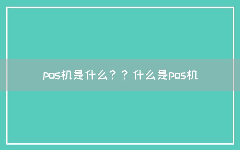 pos机是什么？？什么是pos机(图1)